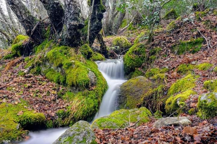 Willa Casa Rural Las Nieves San Ciprián Zewnętrze zdjęcie